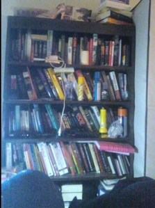 bedroom bookcase before